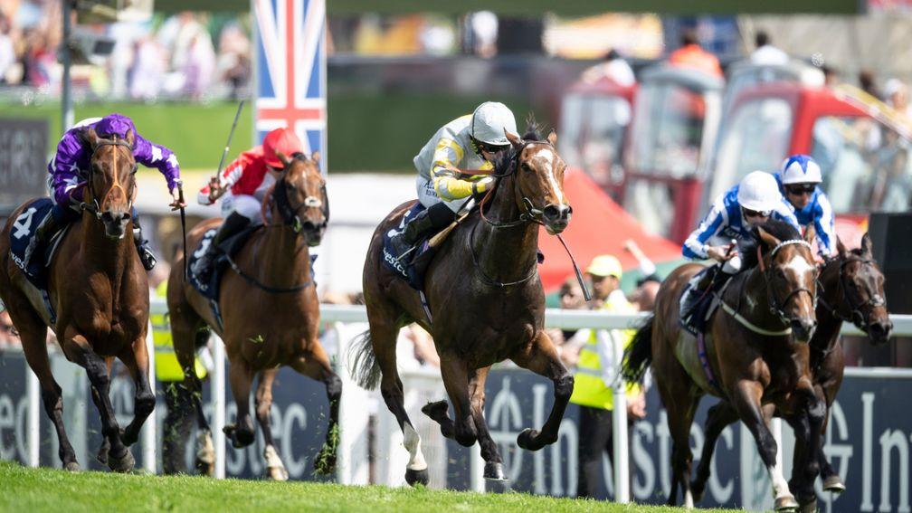 Zaaki: a contender for the Summer Mile Stakes at Ascot