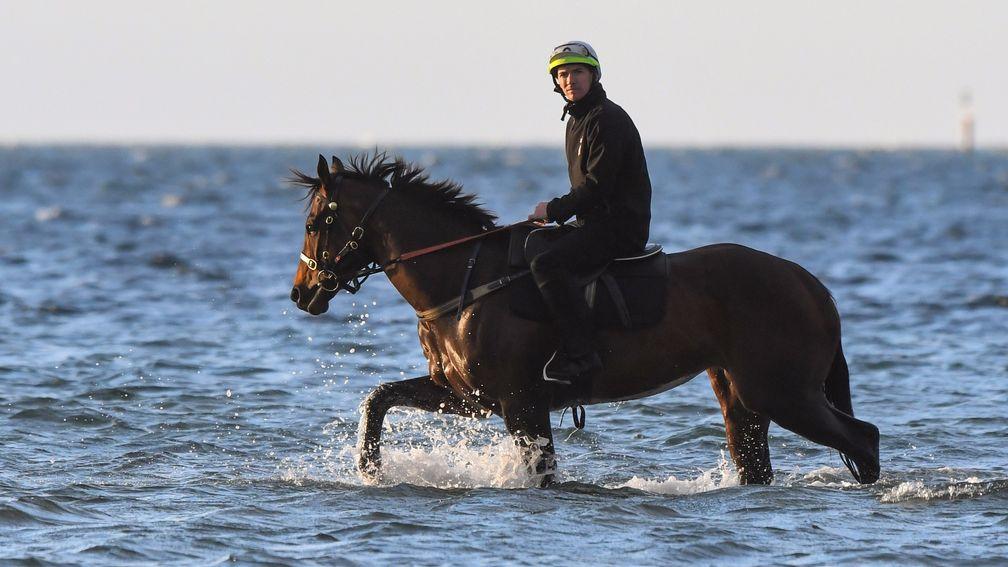 Ben Cadden rides Winx walks through the shallow waters of Altona Beach, Melbourne
