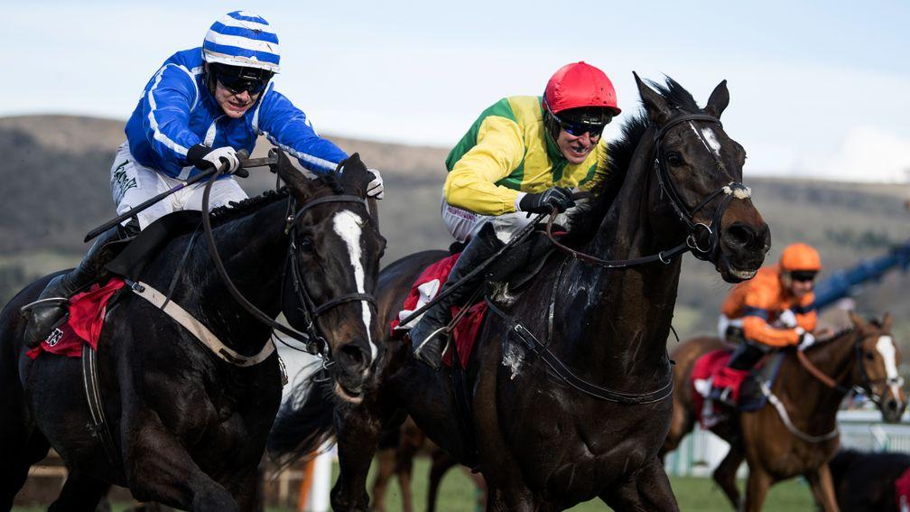 Penhill: the Stayers' Hurdle winner will try and follow up in the Punchestown feature