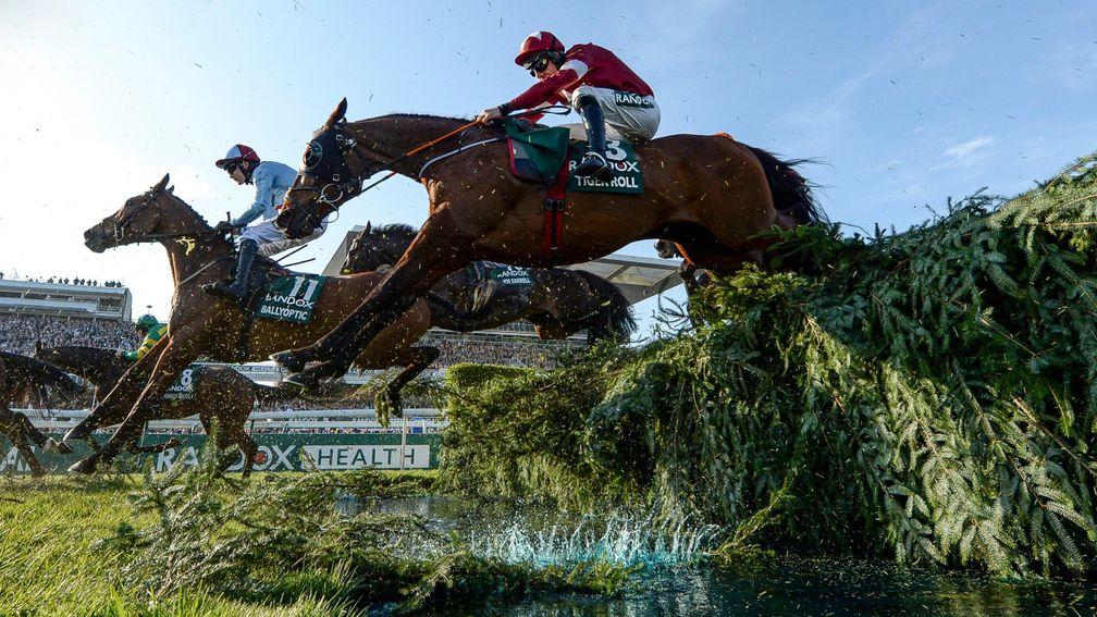 Tiger Roll: would have taken the world of stopping in the Grand National
