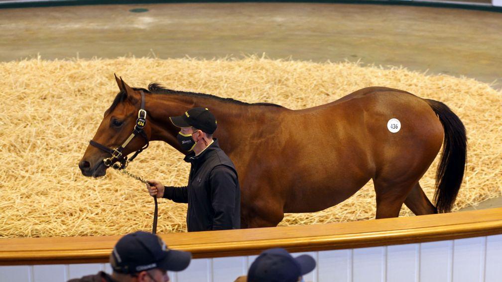 The Galileo filly named Skylark was Shastye's most recent progeny to sell for seven figures in 2020