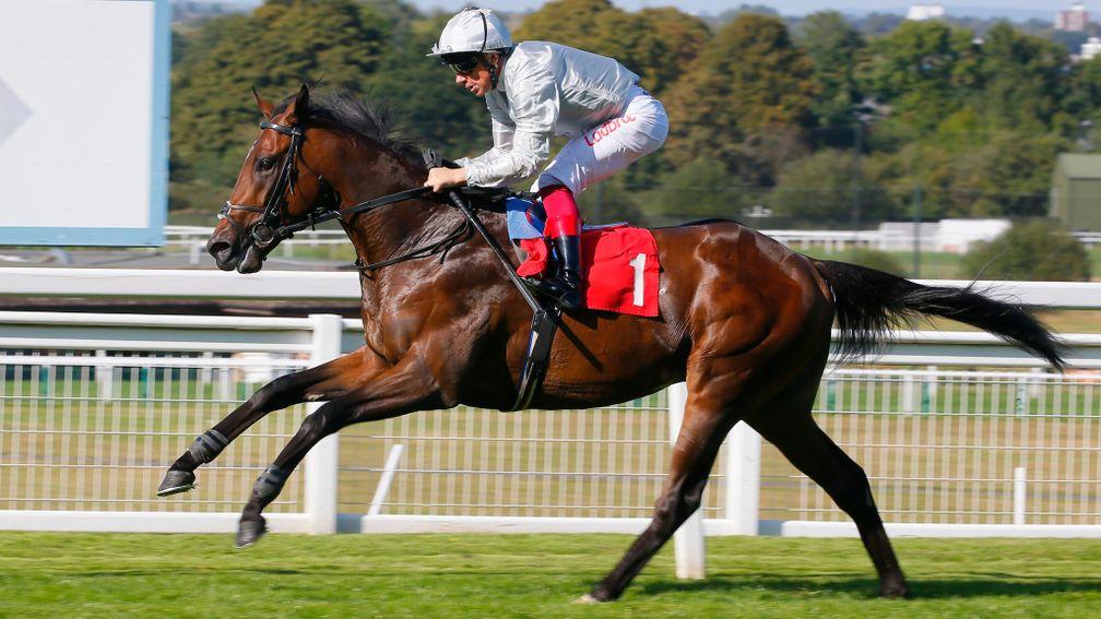 Palace Pier: John Gosden's charge will not race again this season