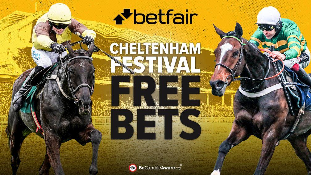 Betfair Cheltenham betting offer