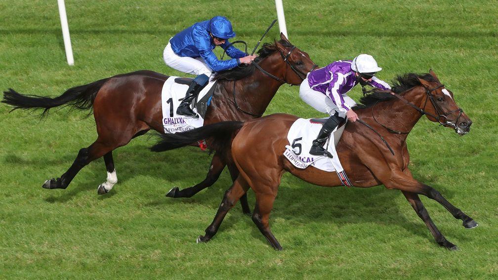 Magical (Seamie Heffernan) gets the better of Ghaiyyath (William Buick) in the Irish Champion Stakes at Leopardstown