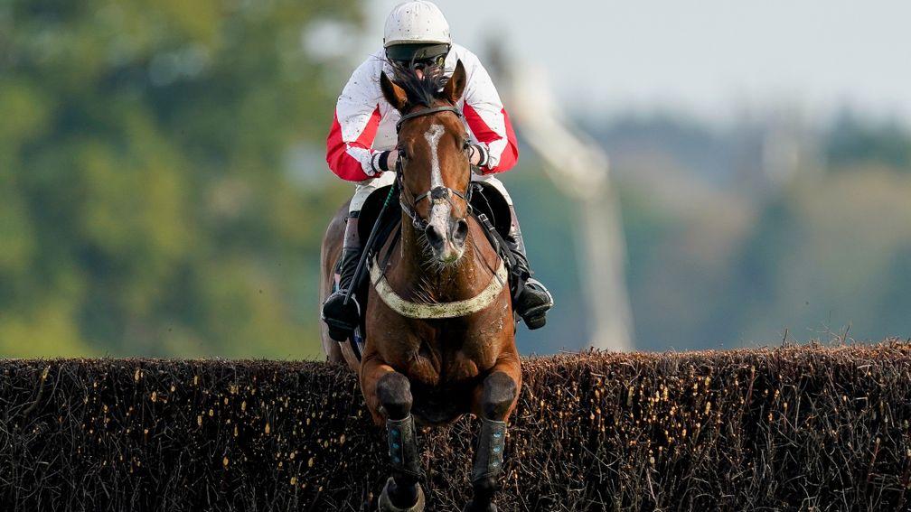 Goshen: declared for beginners' chase at Lingfield on Tuesday