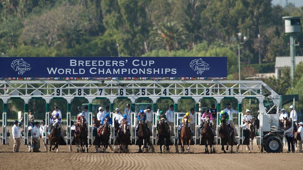 Breeders' Cup: addition of the Juvenile Turf Sprint means there will be 14 races on the programme at Churchill Downs in November