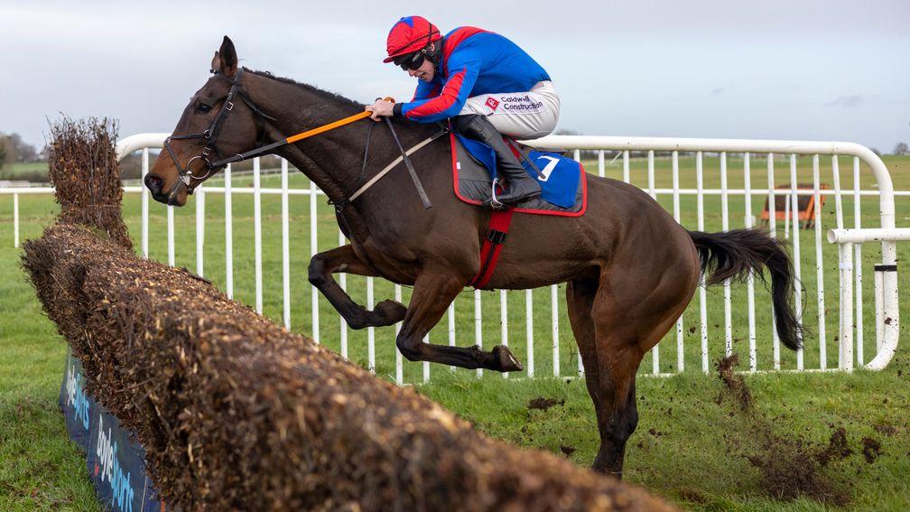 There's enough in the pedigree of The Goffer to suggest he could go well in the National