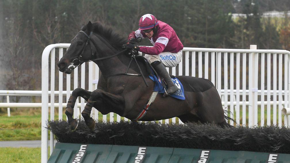 Eric Bloodaxe and Bryan Cooper jump the last en route to Grade 2 success at Limerick