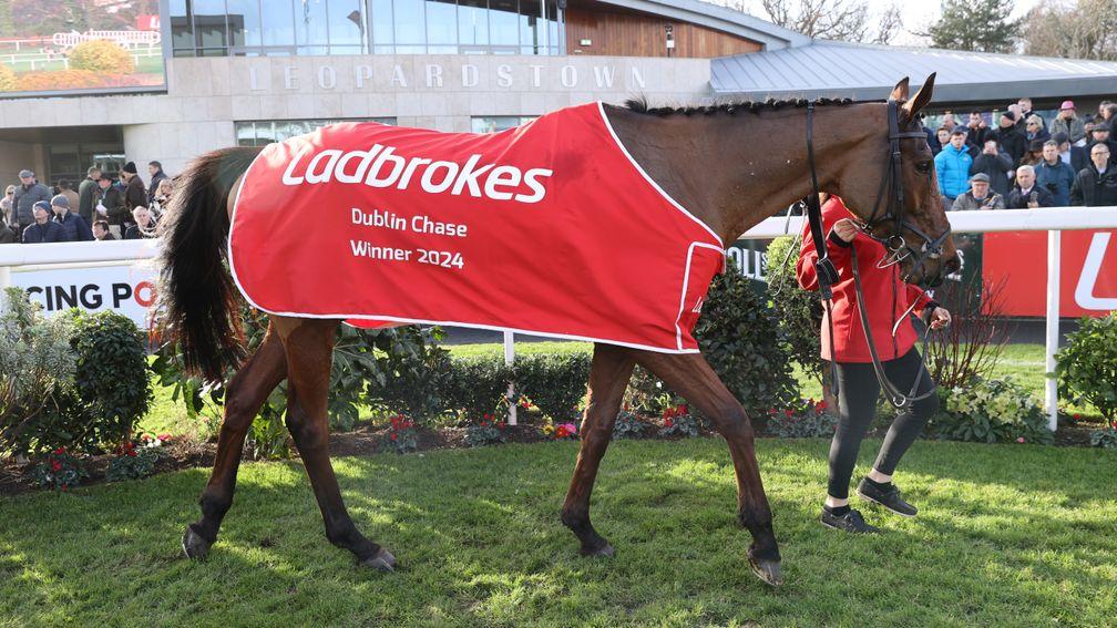 El Fabiolo: another winner's blanket at Cheltenham next month for Francis Dunn to be proud of?







