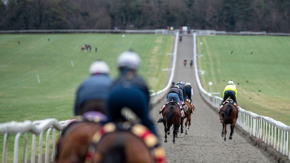 Newmarket's equine population exercise on the Heath. The Flat racing centre has been rocked by the news that four of Simon Crisford's string have tested positive for equine flu