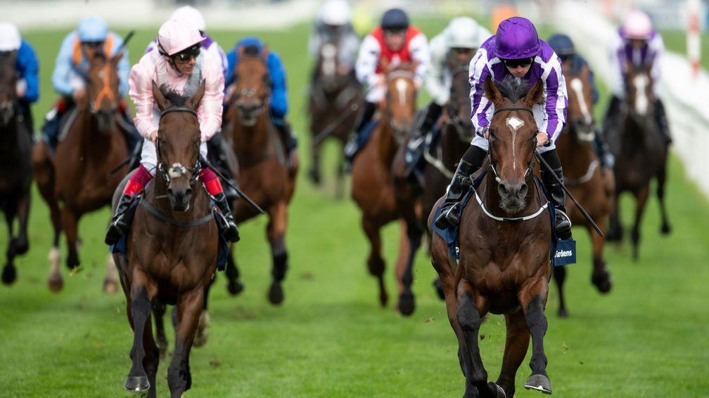 Kew Gardens (right): Leger winner on course for Ormonde Stakes at Chester