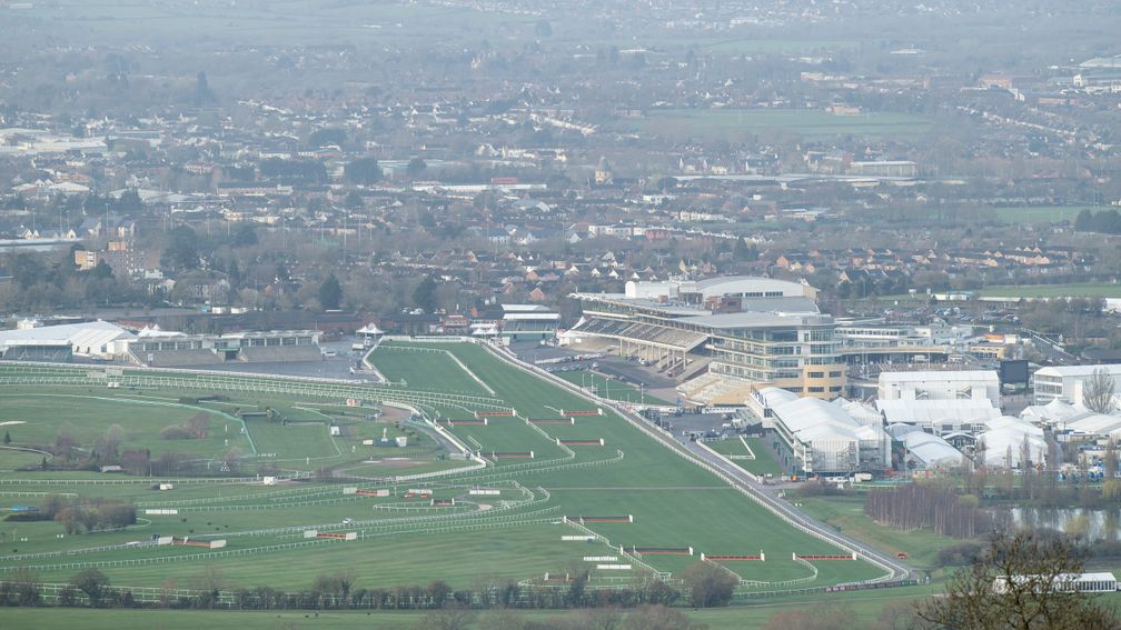 The going has changed significantly this morning at Cheltenham