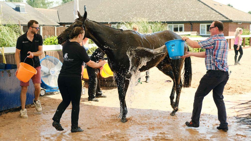 Martin Keighley pouring water over Mr Mafia after winning at Southwell