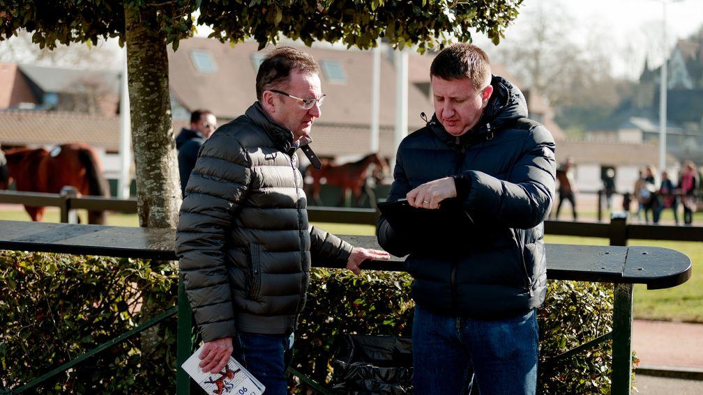 Eamonn Reilly and Michael Donohoe after securing a granddaughter of Zarkava at Arqana on Wednesday