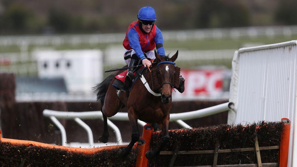 Bannixtown Glory: won by a length and three quarters at Cheltenham on Thursday