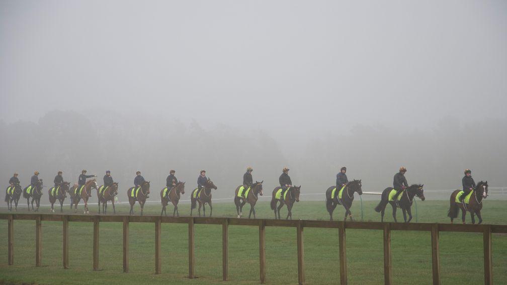Fees for the gallops at Newmarket will be reduced