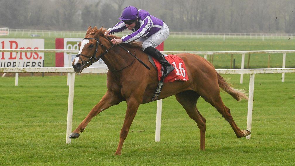 Toy: sole runner for last year's winning trainer Aidan O'Brien