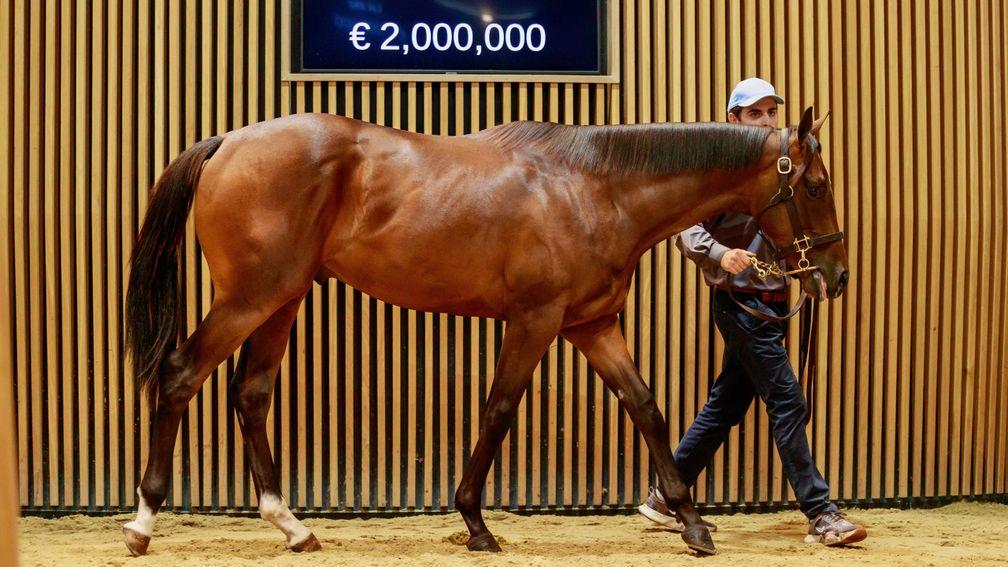 The Dubawi colt out of Golden Valentine who sold to Godolphin for €2,000,000 at Arqana