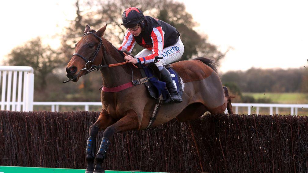 Funambule Sivola: won on his chase debut at Wetherby last week