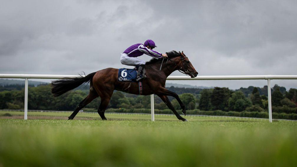 Year Of The Tiger bounds clear in the Irish Stallion Farms EBF Maiden at Naas