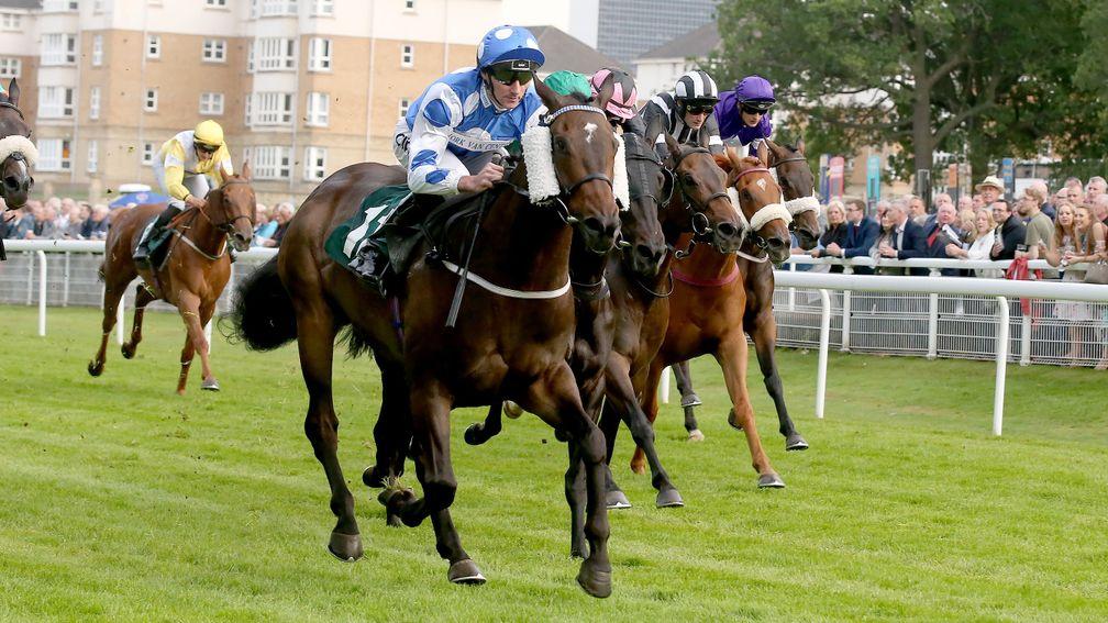 Classic Seniority could continue racing in Ireland