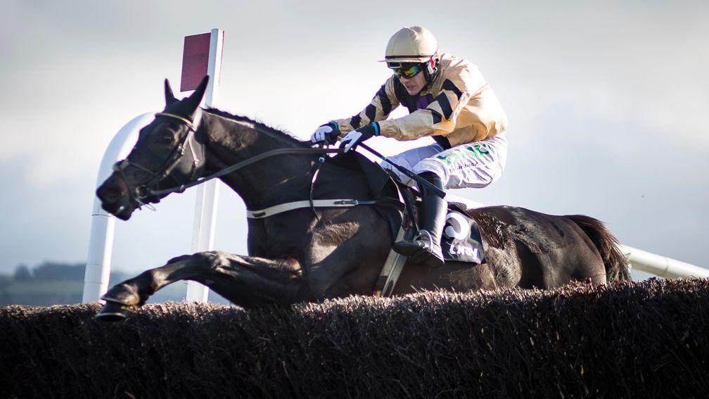 Voix Du Reve and Paul Townend jump the last to win Craddockstown Novice Chase at Punchestown