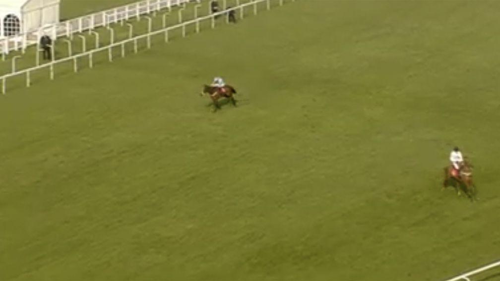 Geraghty can't get What's The Scoop to alter his course, and he heads to the grandstand