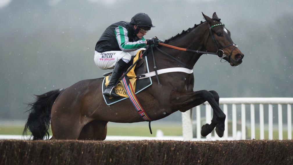Altior: ruled out of the Tingle Creek with a wind problem