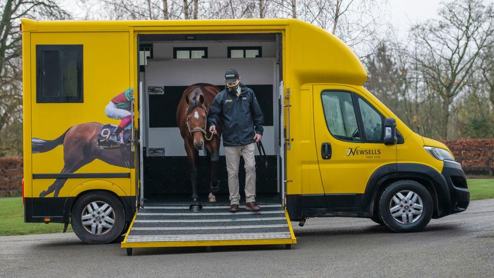 Without Parole steps off the lorry at Newsells Park Stud