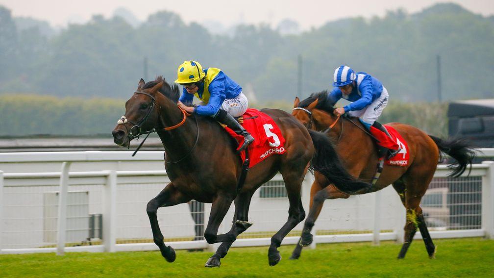 Laraaib (right) chases home Poet's Word in the Brigadier Gerard Stakes at Sandown