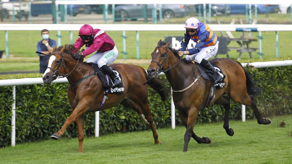 El Astronaute (white face) beat Tarboosh in last year's running of the Achilles Stakes