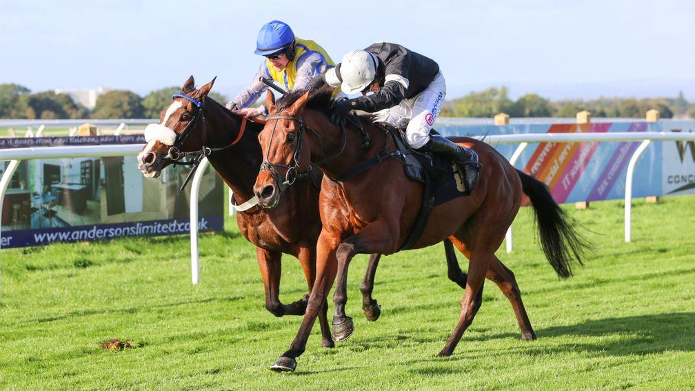 Kayf Hernando (black): one of four rides for Harry Skelton on Friday