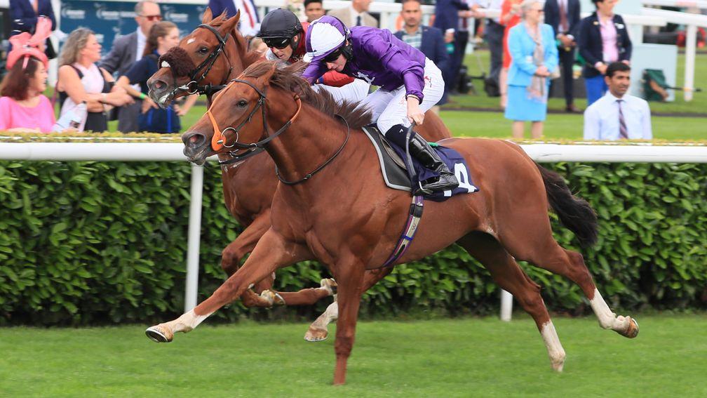 Thunder Max: showed a fine attitude to win at Doncaster last month