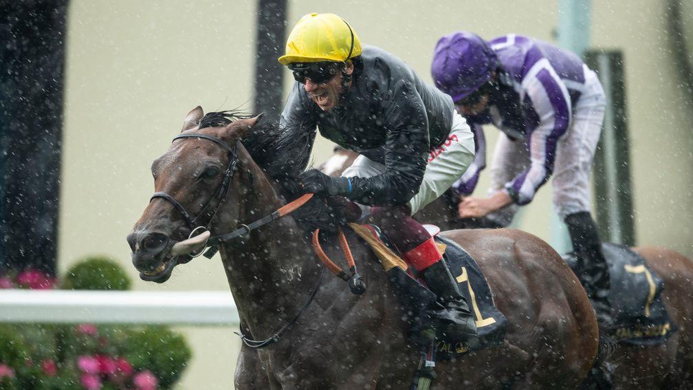Crystal Ocean keeps Magical at bay in the Prince of Wales's Stakes