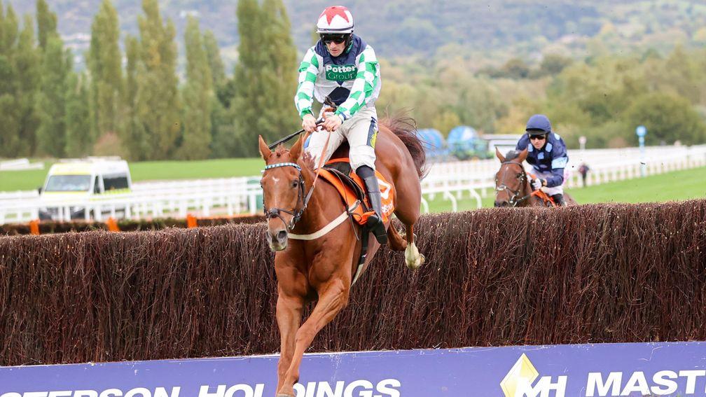 Before Midnight: stormed to victory at Cheltenham on Saturday