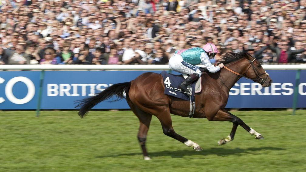 Frankel and Tom Queally in full flight in the 2,000 Guineas at Newmarket