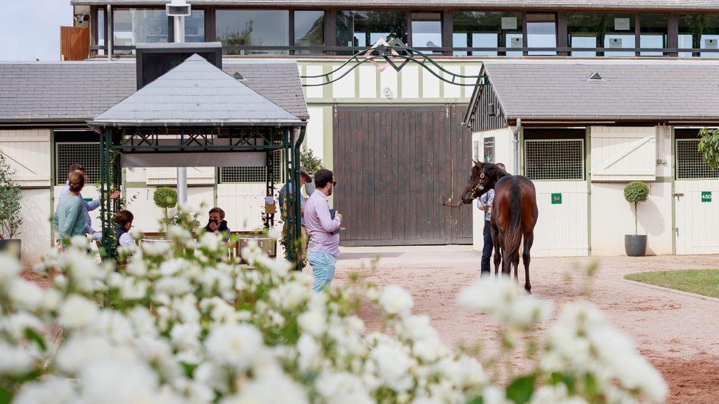 The Arqana site in Deauville will burst back into life in August