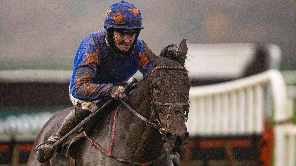 Dreal Deal: stayed on from last to first to win the Grade 2 at Punchestown