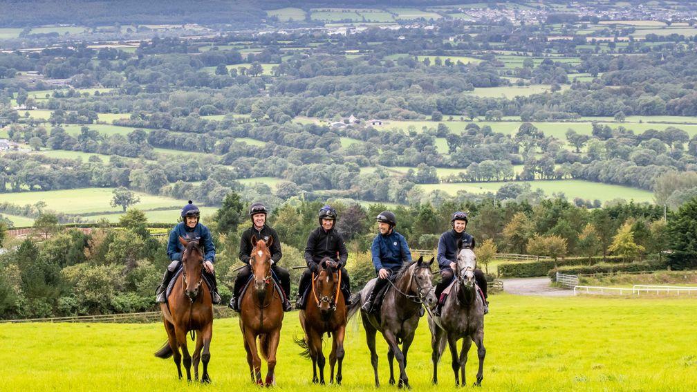 Ruby Walsh, Sir Anthony McCoy, Paul Carberry, Charlie Swan and Joseph O'Brien warming up for the Pat Smullen Champions Race for Cancer Trials Ireland at O'Brien's Owning Hill base on Tuesday