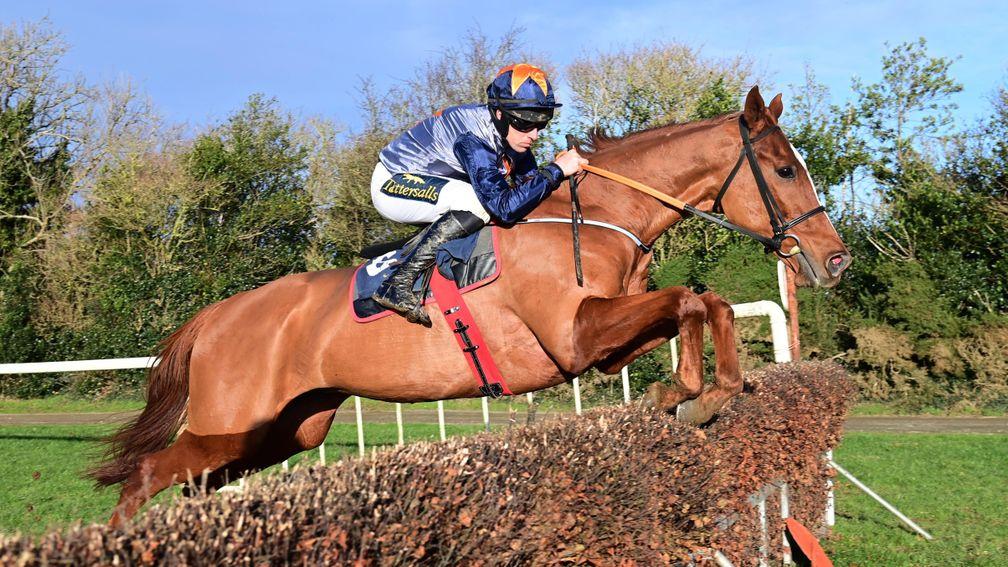 Back on track. Samcro, seen here winning at Tinahely point-to-point under Barry O'Neill last year, could return to the racecourse for a hunter chase at Down Royal on Tuesday