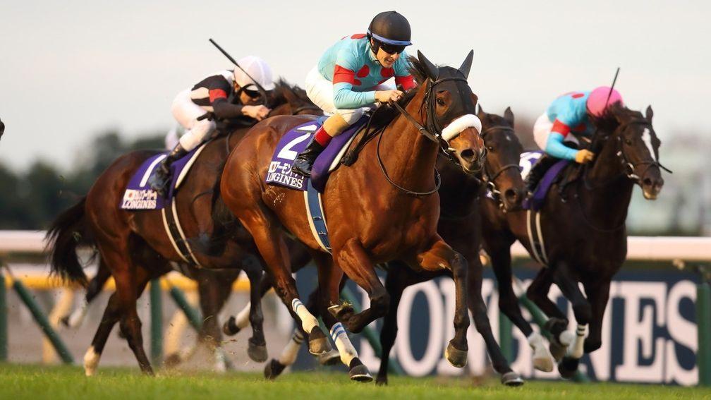 Almond Eye: enjoyed a dazzling end to her career in the Japan Cup