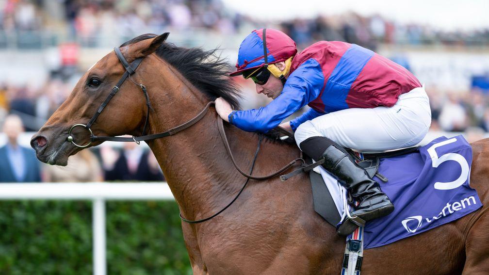 Luxembourg: ante-post favourite for the Derby and strong fancy for the 2,000 Guineas