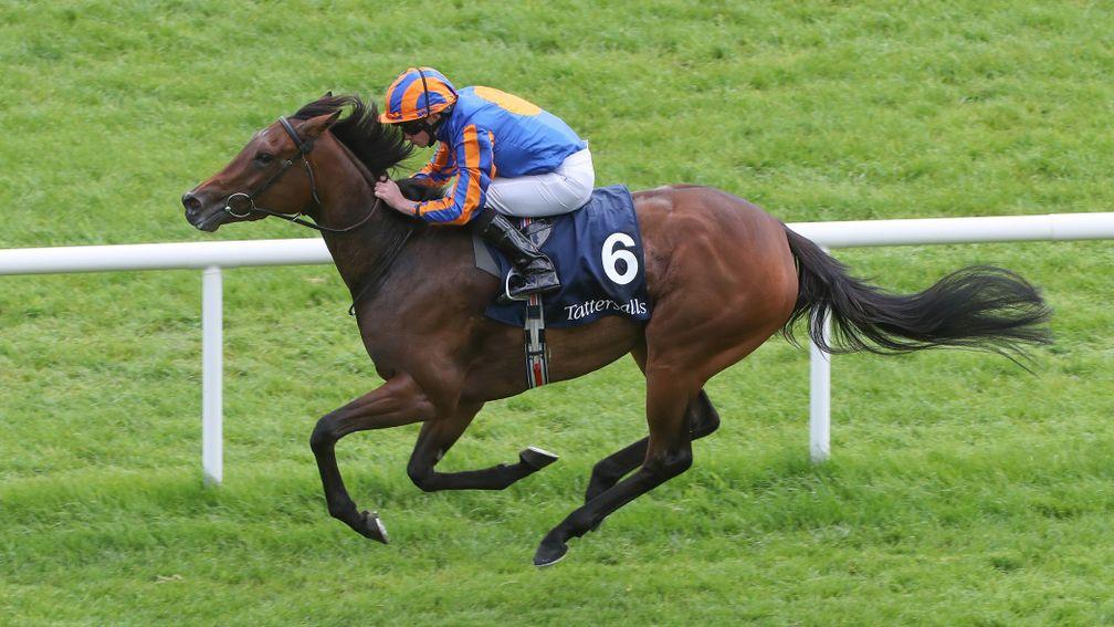 Hermosa: the dual Guineas winner needs to put a disappointing effort at Goodwood behind her