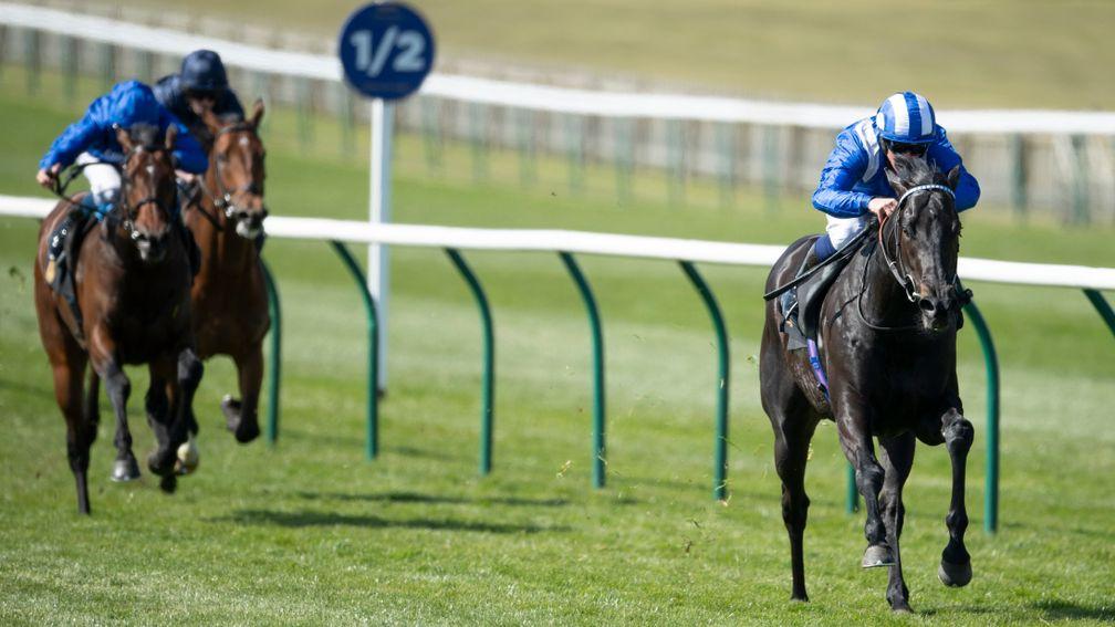 Mutasaabeq: was as short as 7-1 for the Qipco 2,000 Guineas at Newmarket on Sunday