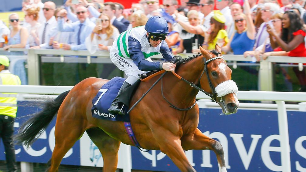 Le Don De Vie: favourite for the Cambridgeshire in some lists