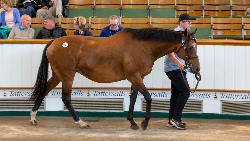Chachamaidee, carrying to Mohaather, sells for 200,000gns