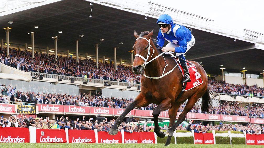 Winx: the doyenne of Australian racing lost her first foal