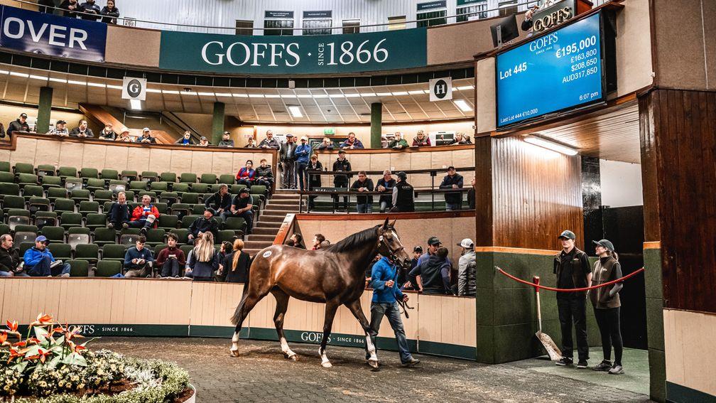 The Blue Bresil filly takes her turn n the ring and sells for a session-topping €195,000