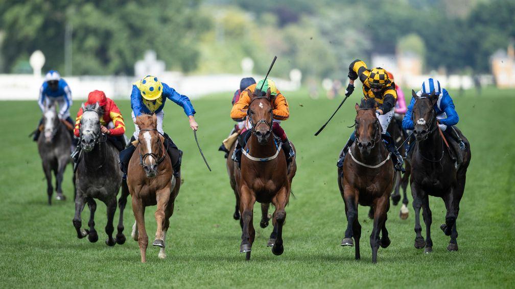 Sceptical (orange, centre): just denied in the Diamond Jubilee Stakes by Hello Youmzain and Dream Of Dreams