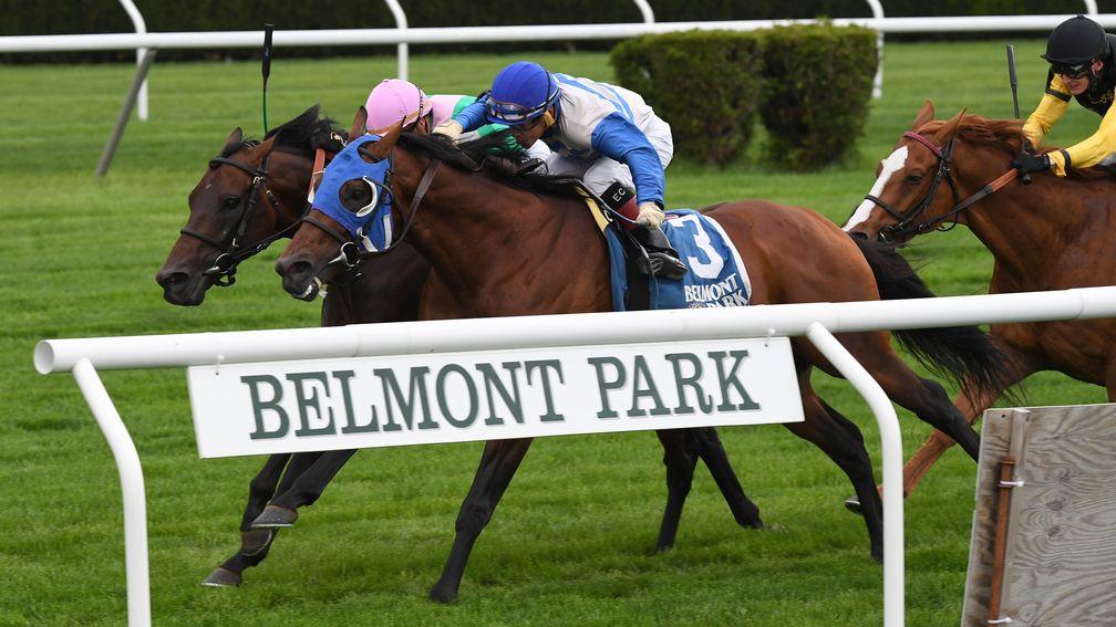 Smooth Daddy rallies to deny Time Test in the Grade 3 Fort Marcy Stakes at Belmont Park